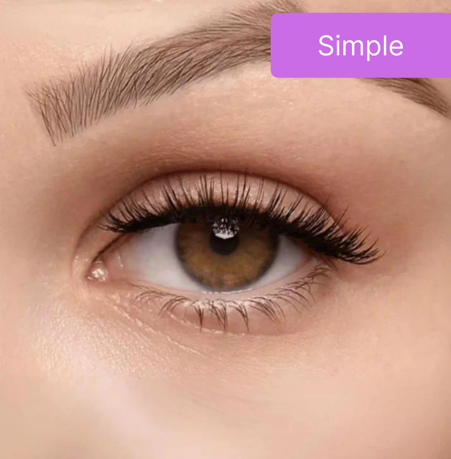 Maylora™ Magnetic Lashes