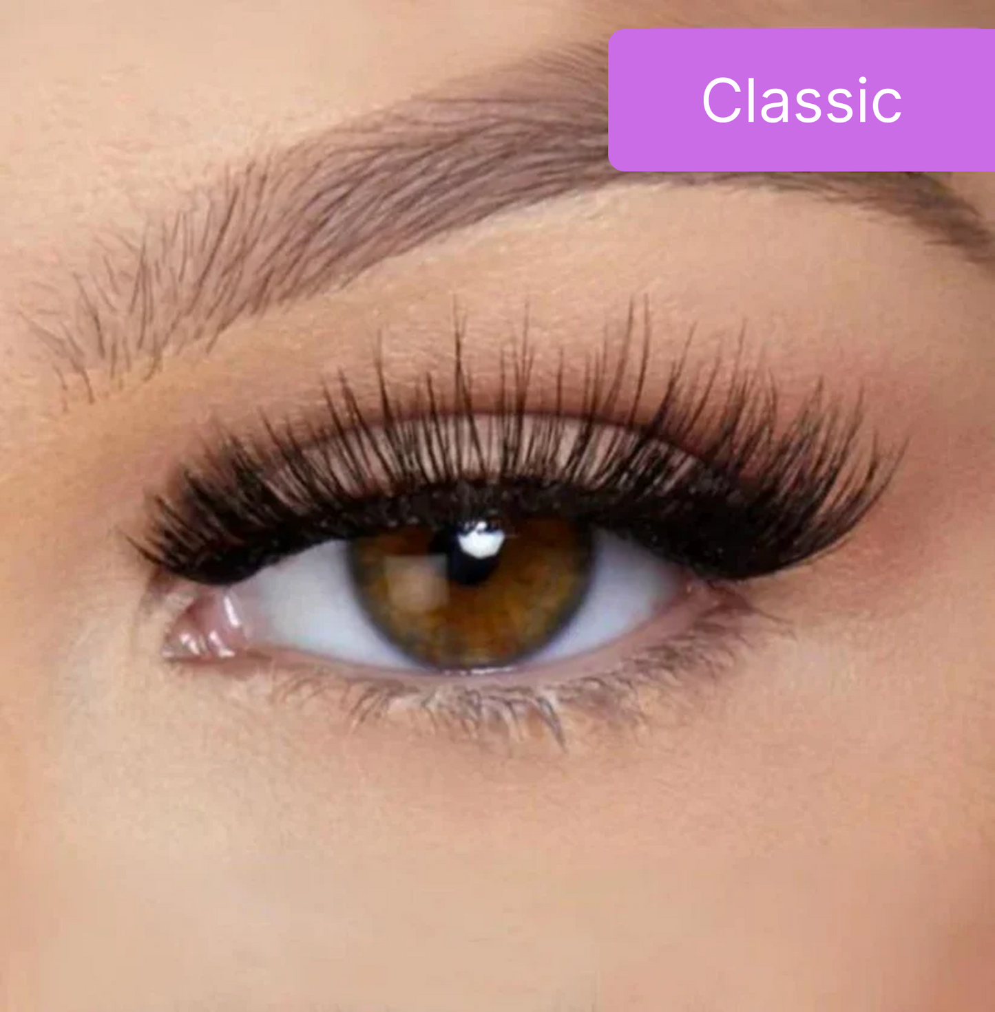 Maylora™ Magnetic Lashes